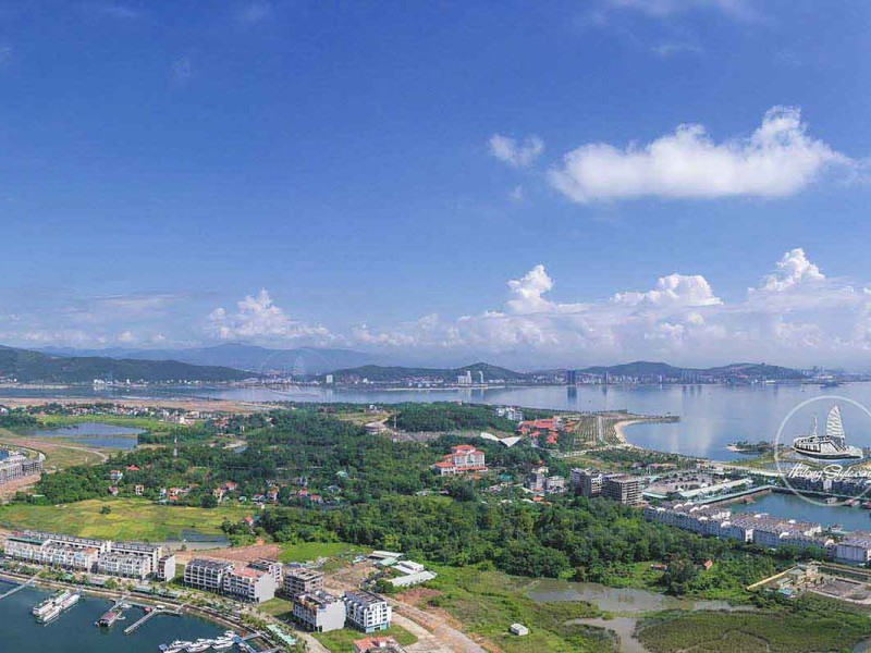 Tuan Chau Harbour with multiple cruise ships docked in Halong Bay