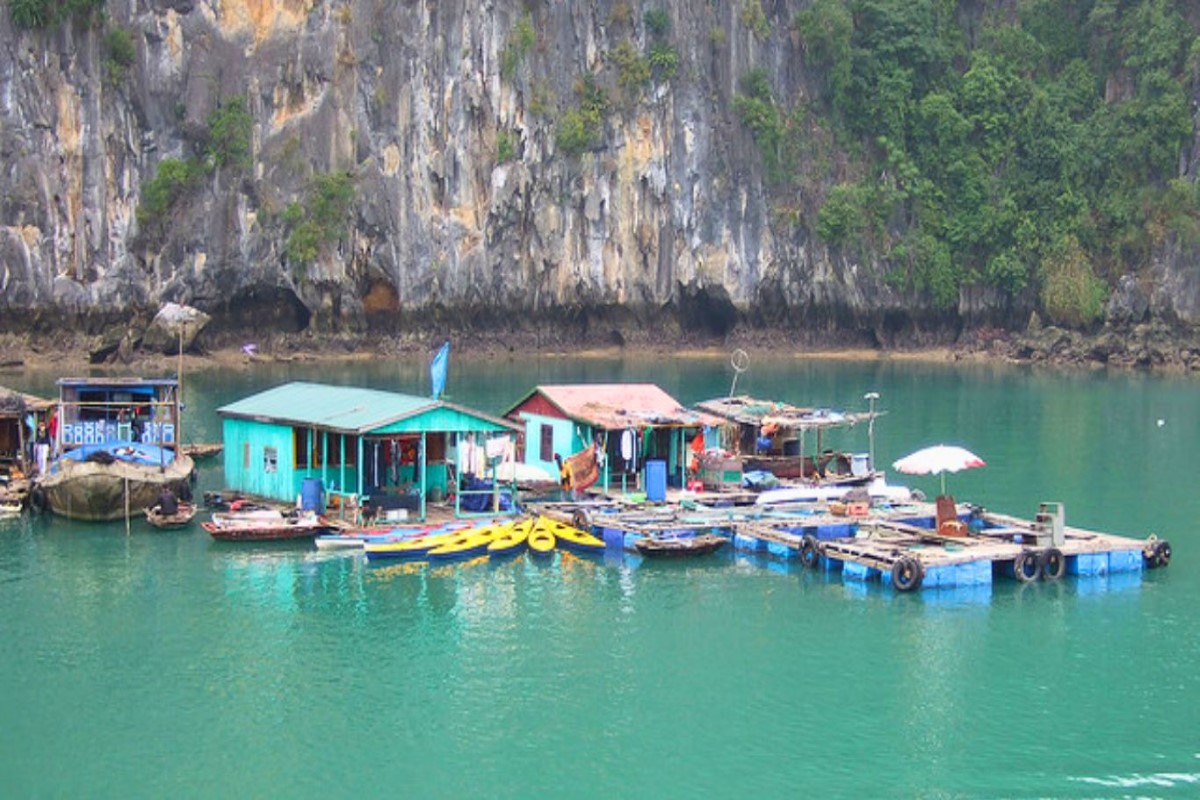 Cảnh Làng Chài Ba Hang tại Vịnh Hạ Long với những ngôi nhà nổi truyền thống bên vách núi đá vôi.